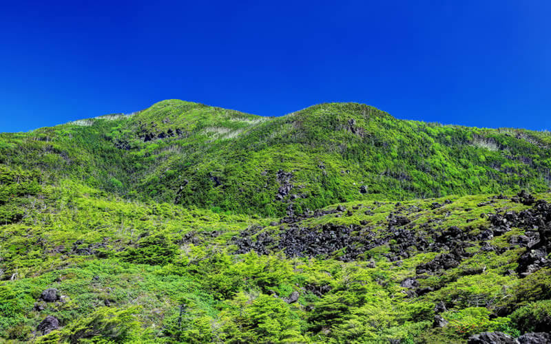 坪庭