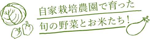 自家栽培農園で育った旬の野菜とお米たち！